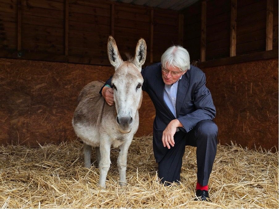 Alarming news. The @DonkeySanctuary in #SuttonColdfield is in danger of closing due to financial difficulties. I am due to meet with the CEO this week as this decision is not yet final, and there is still potential to save this jewel in our Royal Town’s Crown.