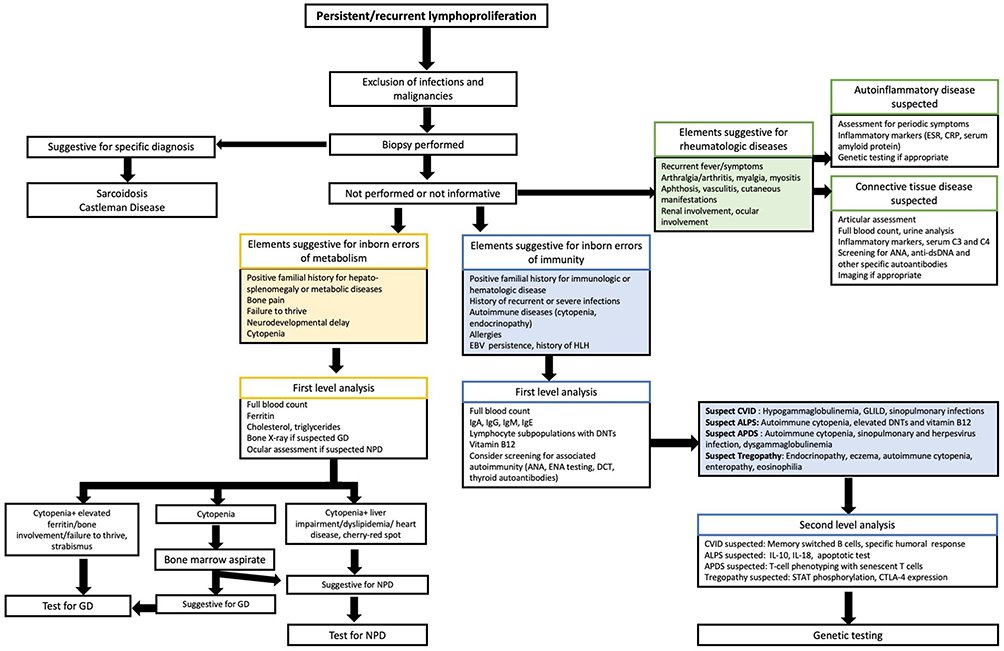 Diagnostic algorithm for the identification of #rarediseases presenting with #lymphoproliferation (lymphadenopathy, splenomegaly, hepatomegaly or lymphocytic organ and tissue infiltration). It is not all about infectious diseases and lymphoid malignancies! dovepress.com/the-etiologic-…