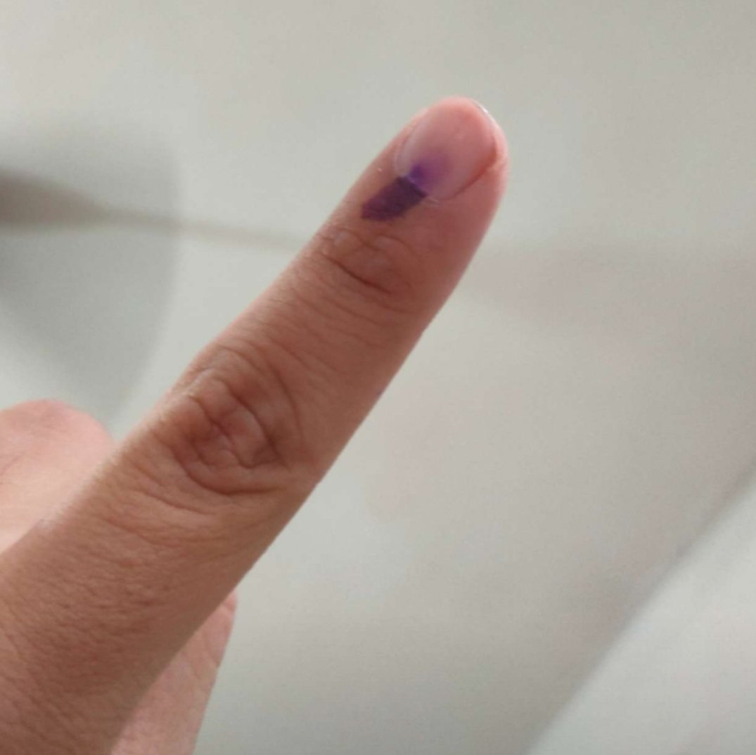 Today I cast my vote for Dictator Narendra Modi! Because who else can give us a $5 Trillion Economy, World-class Infrastructure, National Security? Let’s not forget, transforming India's global image & boosting Digital Revolution. Ready for more disruptive & incredible growth! 🇮🇳