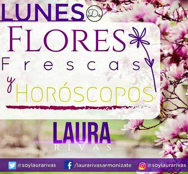 Laura Rivas tweet media