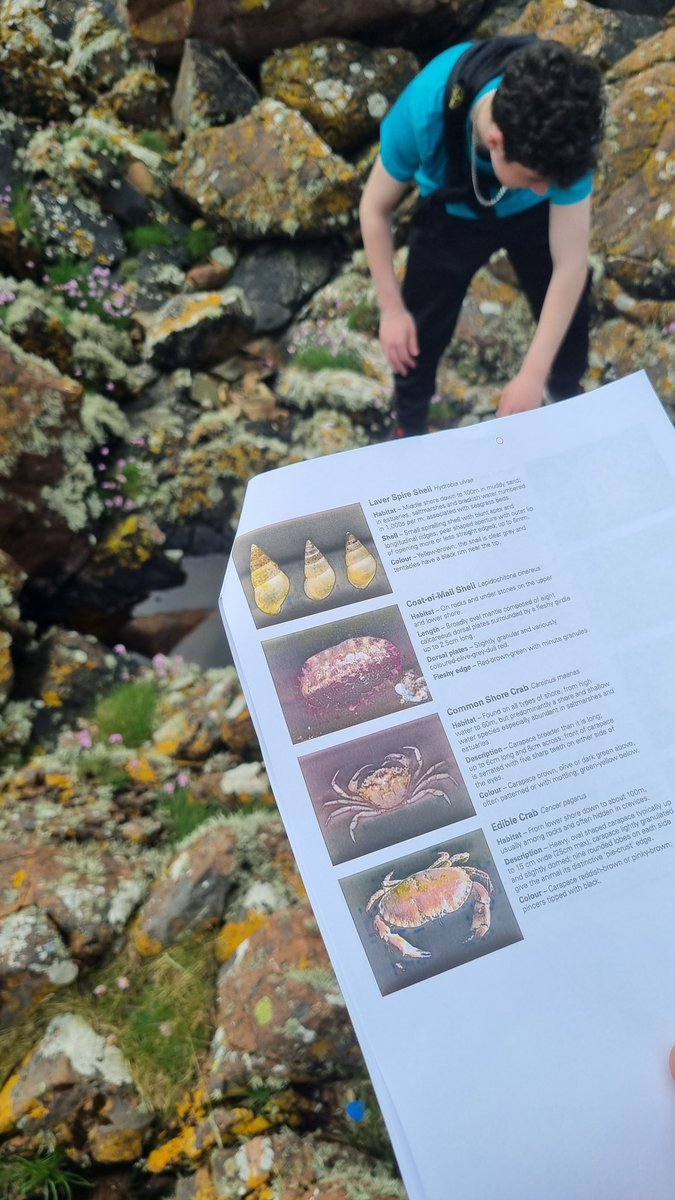 MrCharters tweet media