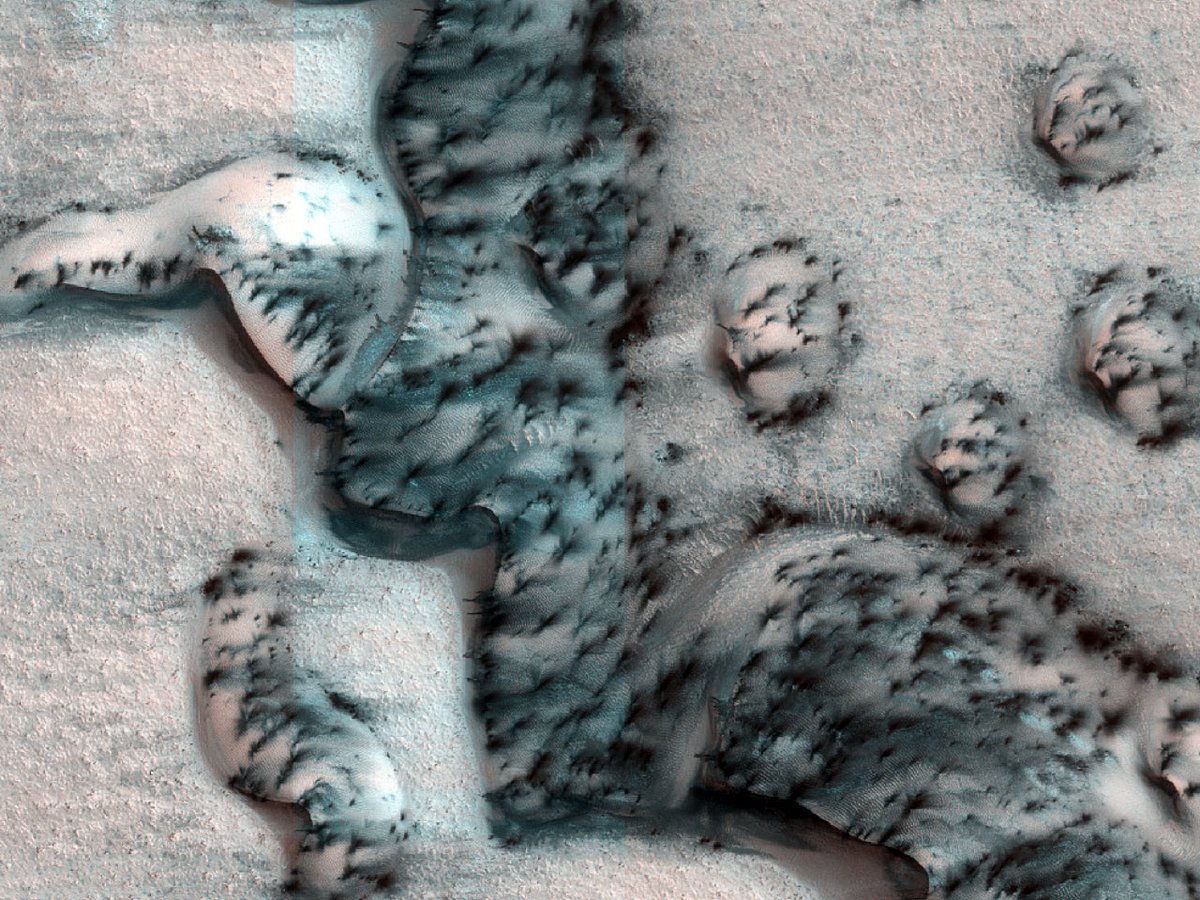 HiRISEWelsh's tweet image. HiPOD Cymraeg: 20 Mai 2024
Maes o Dwyni Siâp Cilgant

rhif: ESP_051847_2565
dyddiad caffael : 18 Awst 2017 
uchder: 317 km

uahirise.org/hipod/cy/ESP_0…
NASA/JPL-Caltech/UArizona
#Mars #NASA #Cymraeg #Cymru #Welsh