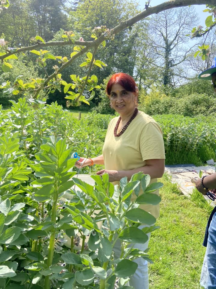 Our mental-health support-group enjoyed a beautiful day at Rock Farm. Spending time outside and connecting with nature helped to reduce stress and improve mental well-being.
