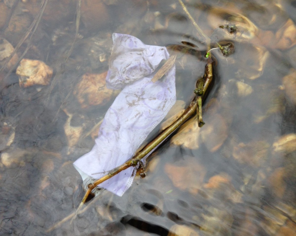 Did you see @BBCCountryfile last night? @PJennings88 addressed sewage discharges in the @RiverChess & residents of Chalfont St. Peter spoke about recent sewage flooding from the R. Misbourne. 🚱💧 Catch up on BBC iPlayer now! 👇 bbc.in/3K57n5Q