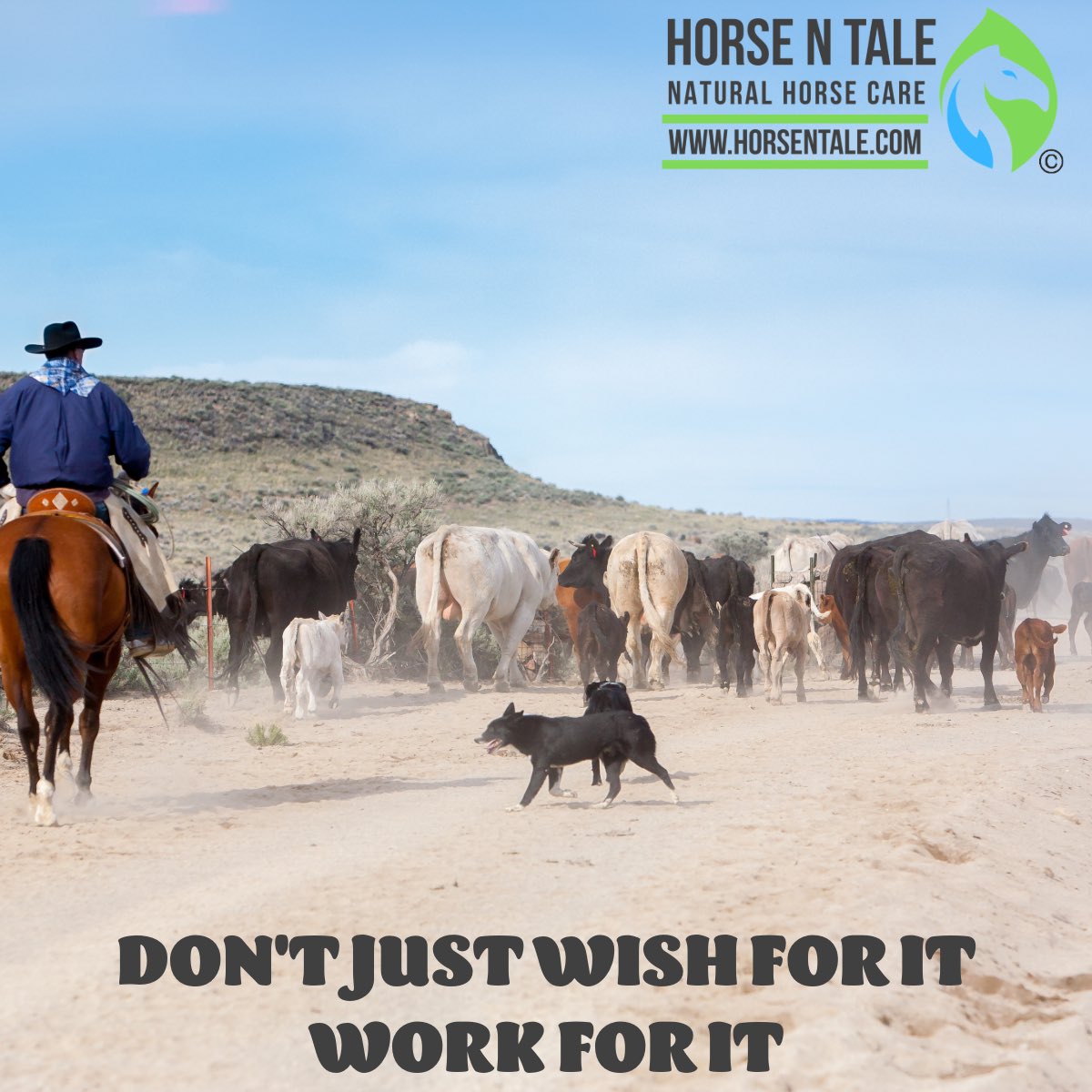 Monday Motivation.
DON'T JUST WISH FOR IT WORK FOR IT.
#horsentale #topicalequineproducts #naturalhorsecare #equine #horse #naturalingredients 
#teamhnt #teamhorsentale 
#horselife #horsemanship 
#horselover 
#motivationmonday #MondayMotivation #Monday #mondaymindset #motivation