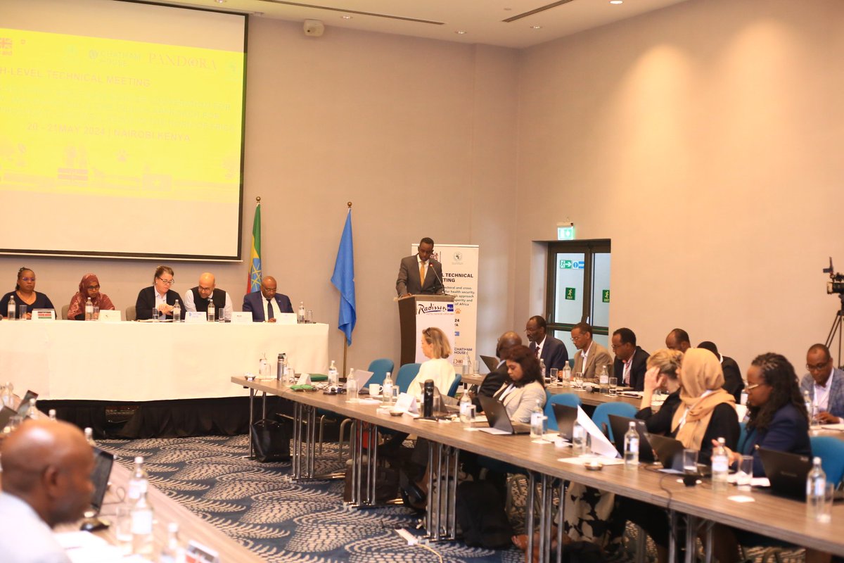 I am pleased to represent @MoH_Somalia on @IGADsecretariat High level Technical Meeting on Enhancing cross-sectoral & cross-border collaboration on Health security in Horn of Africa, We aim to strengthen our collaborative & collective approach on combating Health threats in HoA.
