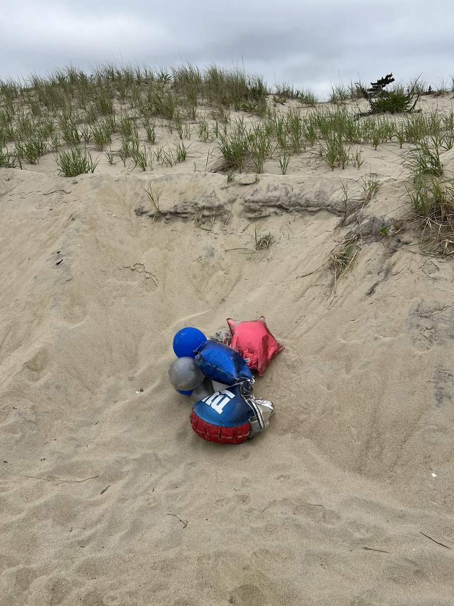 seagirtbum tweet media