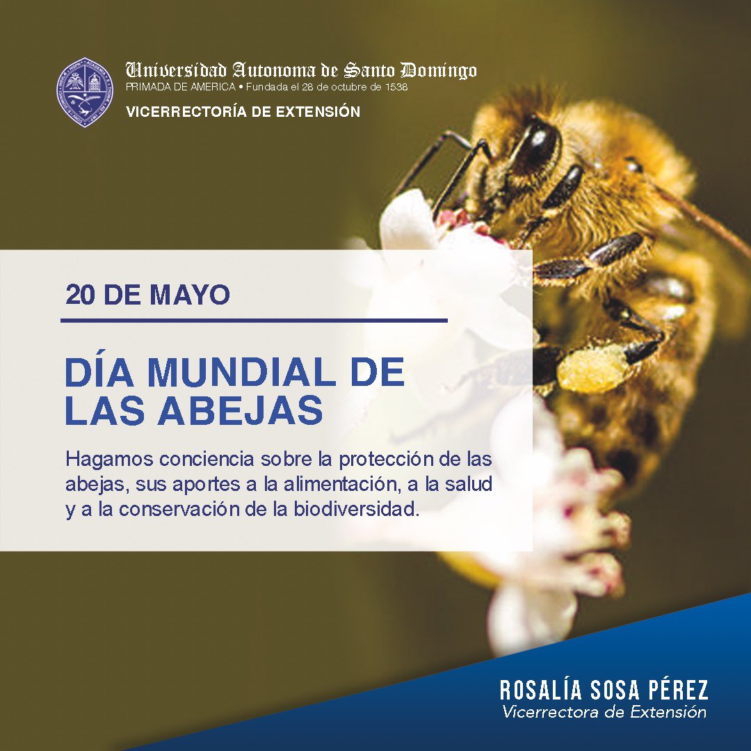 Rosalía Sosa Pérez (@sosa_prez) on Twitter photo 