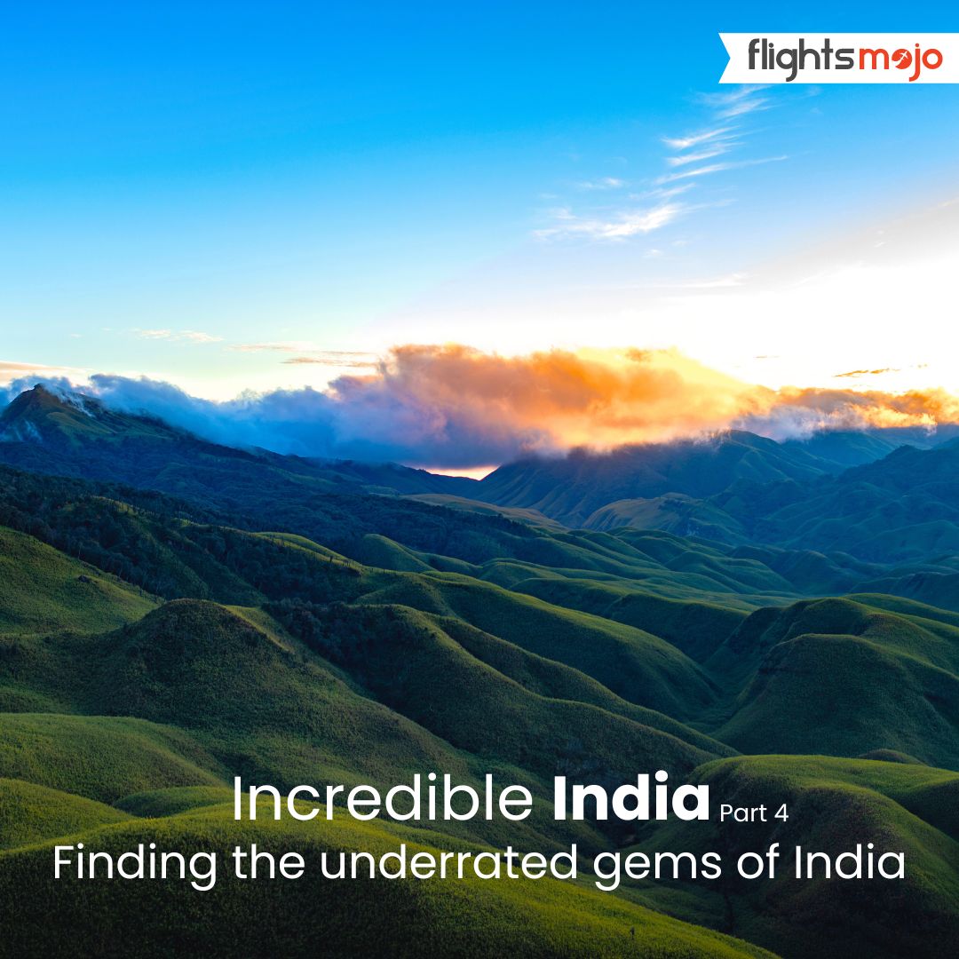 FlightsMojo's tweet image. For all studio ghibli fan: you can see your perfect aesthetic right here in Nagaland. 

#nagaland #flightbooking #flightticketbooking #flightsbooking #greatbookdeals #flightticket #lowestairfare #lowestairfaresonline #flightsmojoindia #delhi #travelcompany #flightsmojo