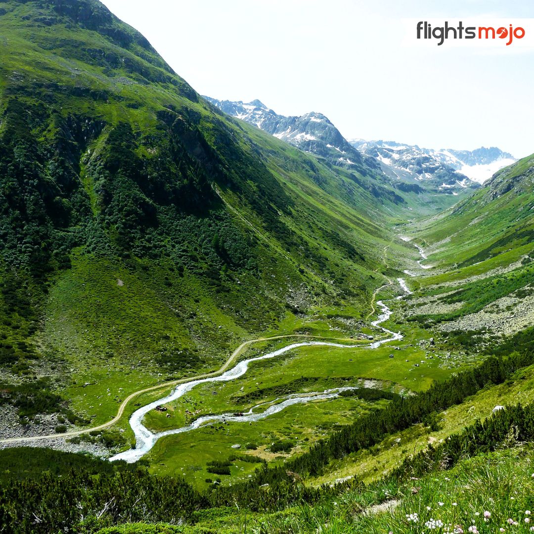 FlightsMojo's tweet image. For all studio ghibli fan: you can see your perfect aesthetic right here in Nagaland. 

#nagaland #flightbooking #flightticketbooking #flightsbooking #greatbookdeals #flightticket #lowestairfare #lowestairfaresonline #flightsmojoindia #delhi #travelcompany #flightsmojo