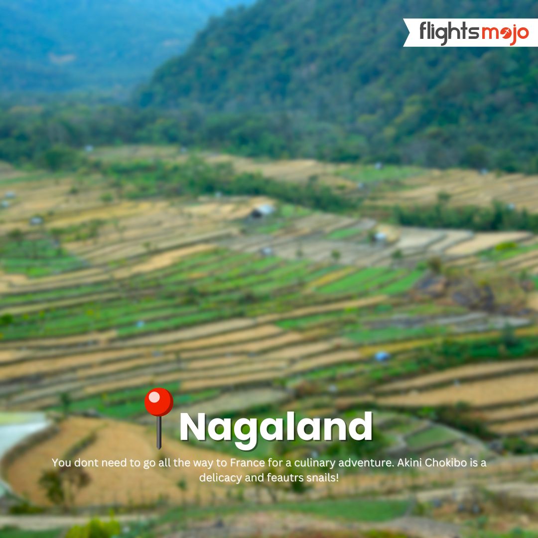 For all studio ghibli fan: you can see your perfect aesthetic right here in Nagaland. 

#nagaland #flightbooking #flightticketbooking #flightsbooking #greatbookdeals #flightticket #lowestairfare #lowestairfaresonline #flightsmojoindia #delhi #travelcompany #flightsmojo