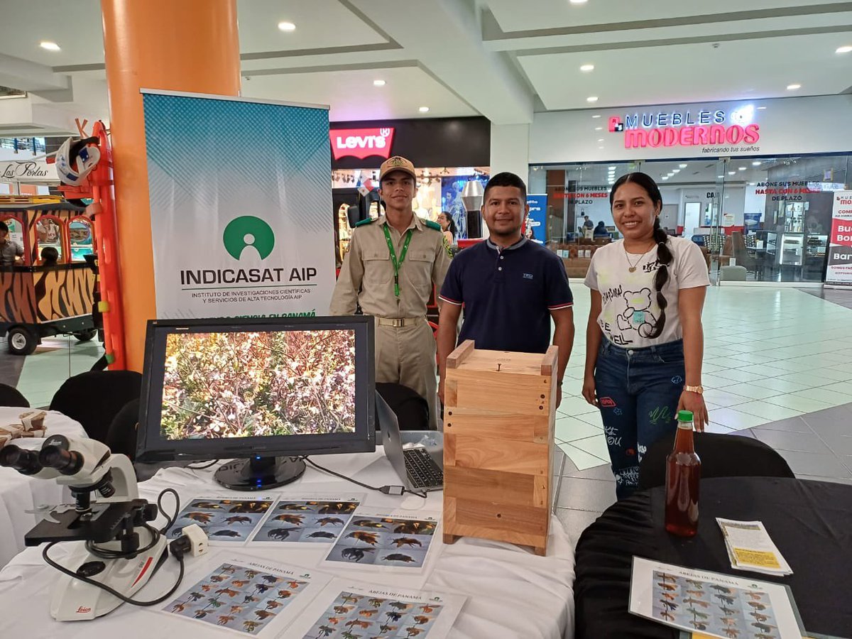 indicasat's tweet photo. 🐝🍯 La 3ra Feria Nacional de la Miel de Abeja ha sido un éxito rotundo en Albrook Mall. Apicultores de todo el país se unieron para ofrecer sus productos de alta calidad. ¡Gracias a todos los que participaron y nos acompañaron!
#FeriaDeLaMiel #MielDeAbeja #Apicultura https://t.co/77WyU2gqgS