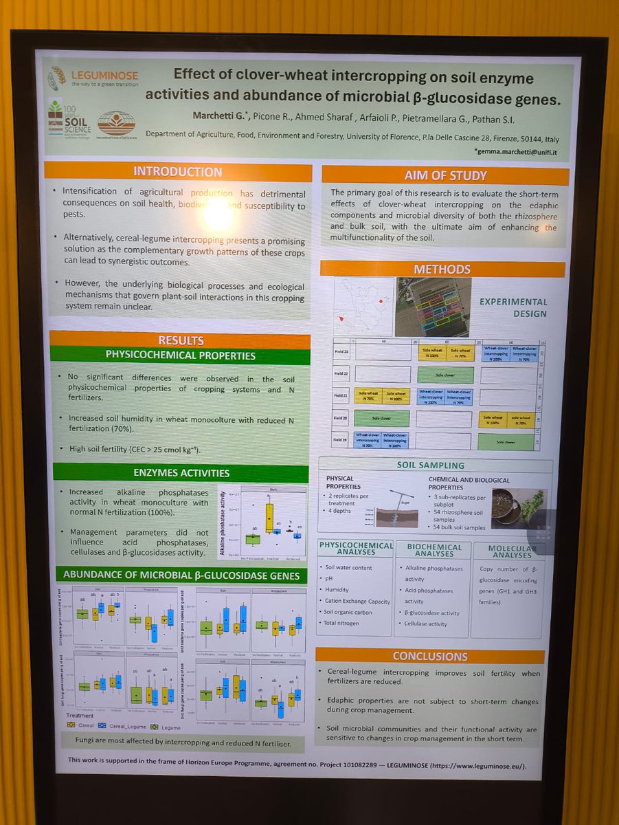Please visit our posters with IDs 135998 and 136545 if you're attending the @IUSS_ORG conference and want to learn more about plant-soil feedback in intercropping systems.                                          @RiccardoPicone_  Gemma Marchetti.             @Leguminose_EU