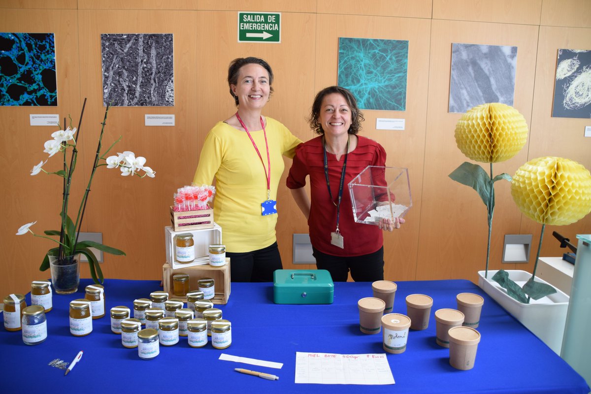 Ayer celebramos el Día Mundial de las Abejas con una interesante charla de Diego Bour con el fin de sensibilizar, promover y favorecer acciones para proteger a las abejas y otros polinizadores. Casi el 90% de las plantas con flores dependen de la polinización para reproducirse