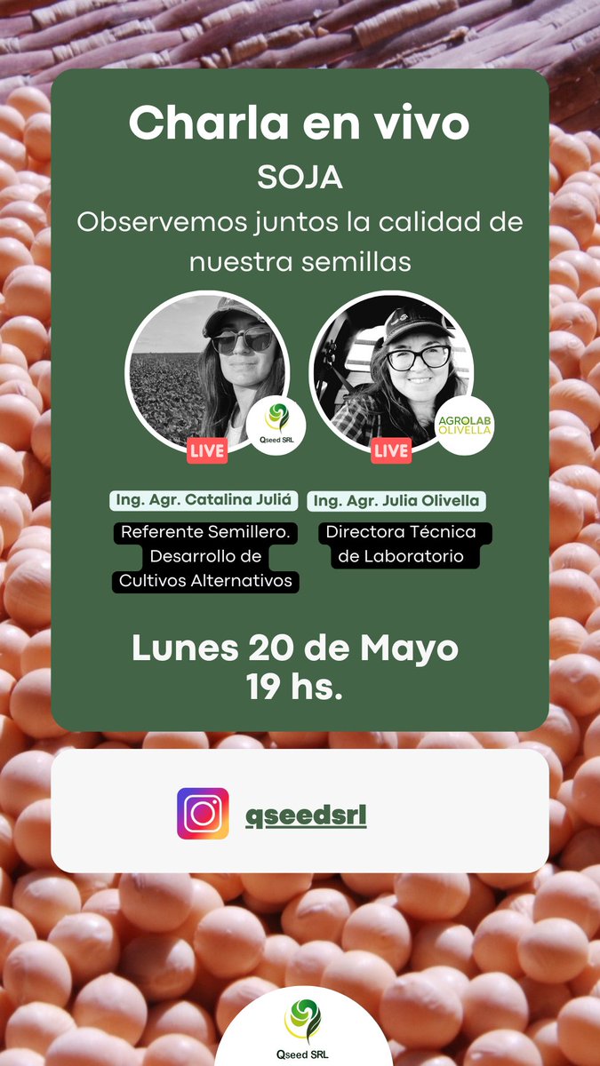QseedSrl's tweet photo. 🌱 ¡Hoy hablamos sobre la calidad de la semilla de soja! 🌱
Te esperamos a las 19 hs. en Instagram @qseedsrl  ¿Cómo hacemos para que la mejor soja llegue a tu lote?
No te lo pierdas ¡es el momento de sembrar juntos!
#JornadaSoja #CalidadSemilla #AgriculturaSostenible https://t.co/TRpinLL03t