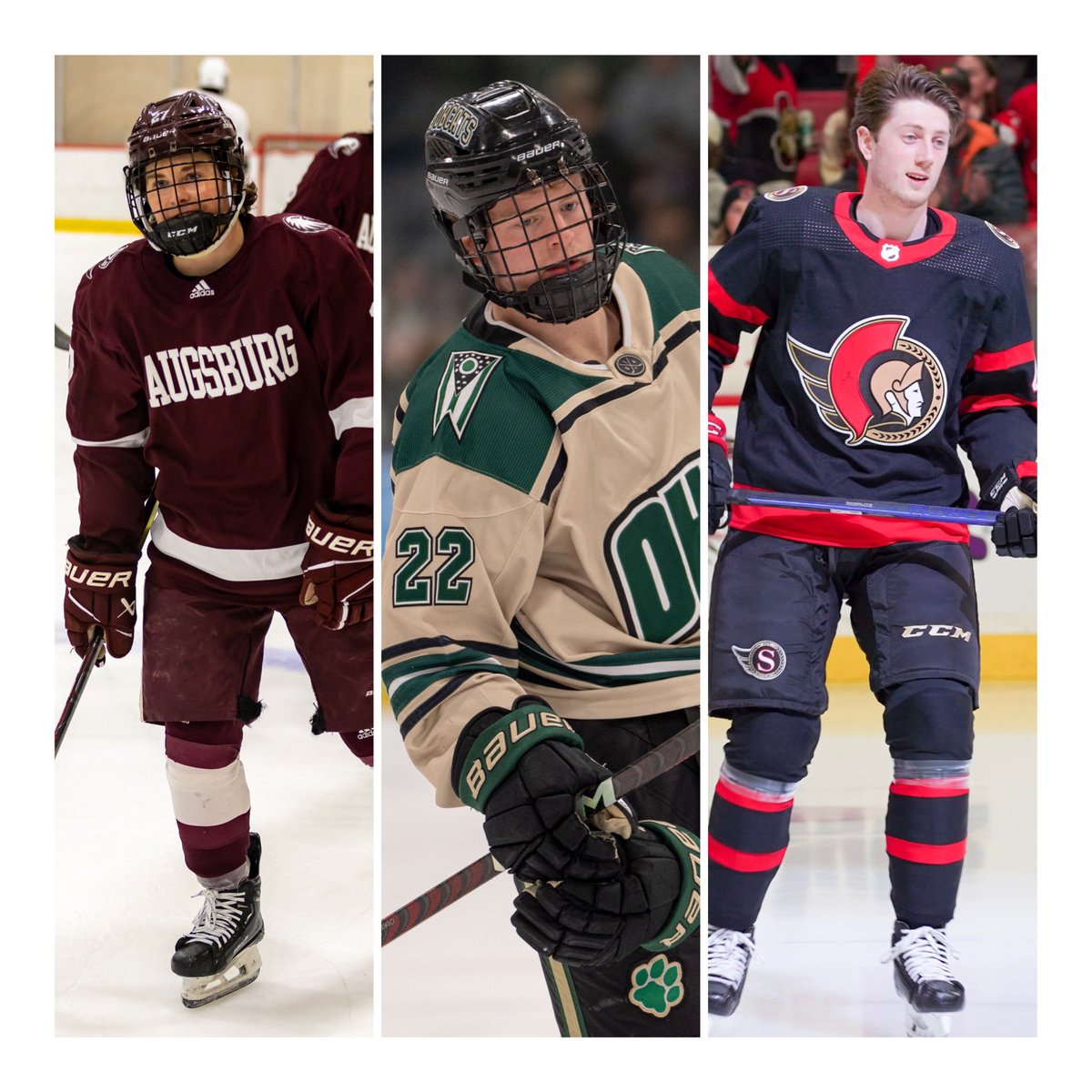 Cade Stibbe tweet media