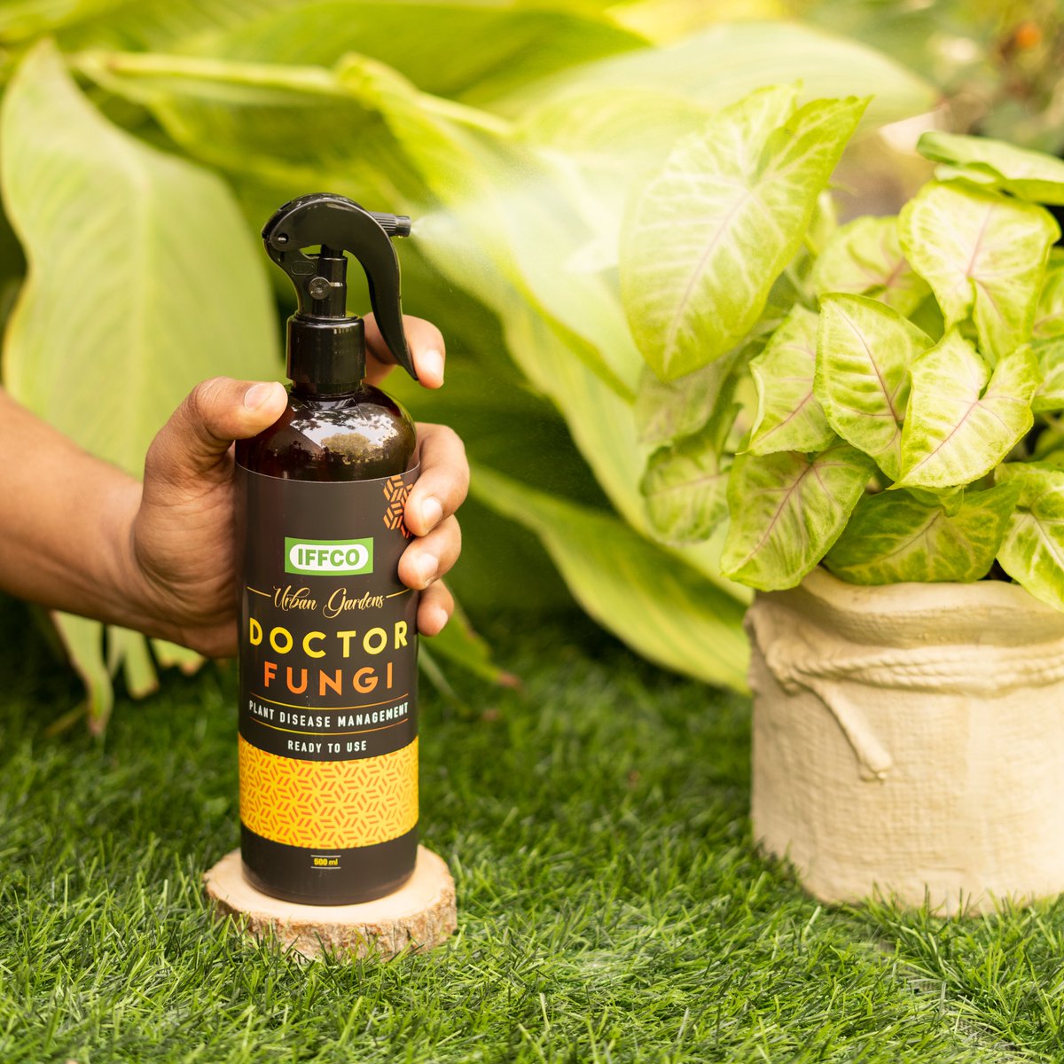 Introducing Doctor Fungi Ready to Use Spray, more effective & easy to use!
.
.
.
.
#IFFCOUrbanGardens #newproduct #new #plantpolls #plants #plantreminder #plantcare #plantstyling #didyouknow #mulching #flowering #fungi #drfuingi