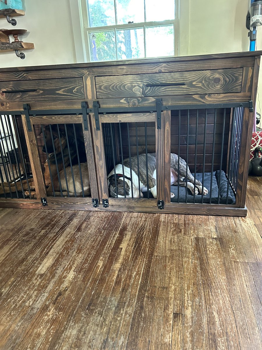We are getting new windows installed today. There’s people in and out, banging all the things. Guess which dog doesn’t give a shit and which one is watching everyone and everything?