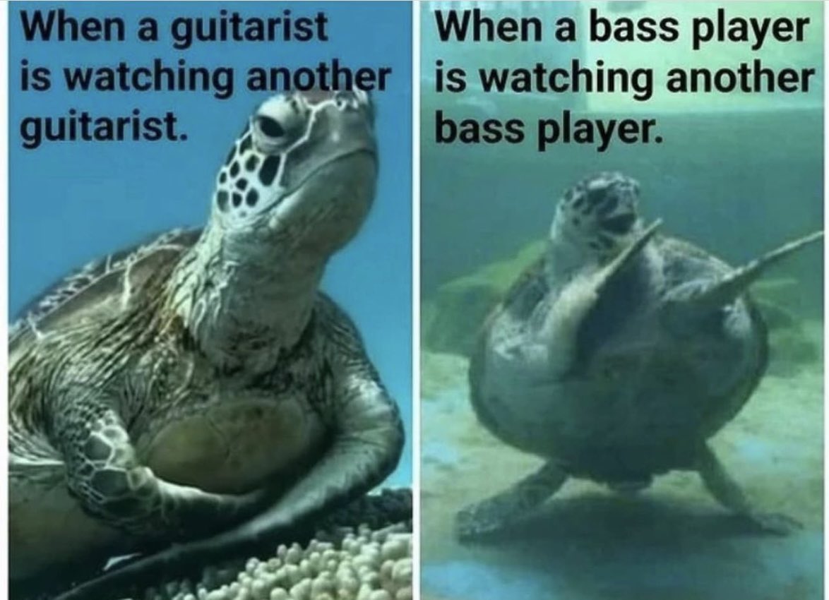 #mememonday 

Tell me that’s not true!
.
.
.
#bass #guitar #guitarist #bassplayer
#icandothat 
Rp @chevansmusic