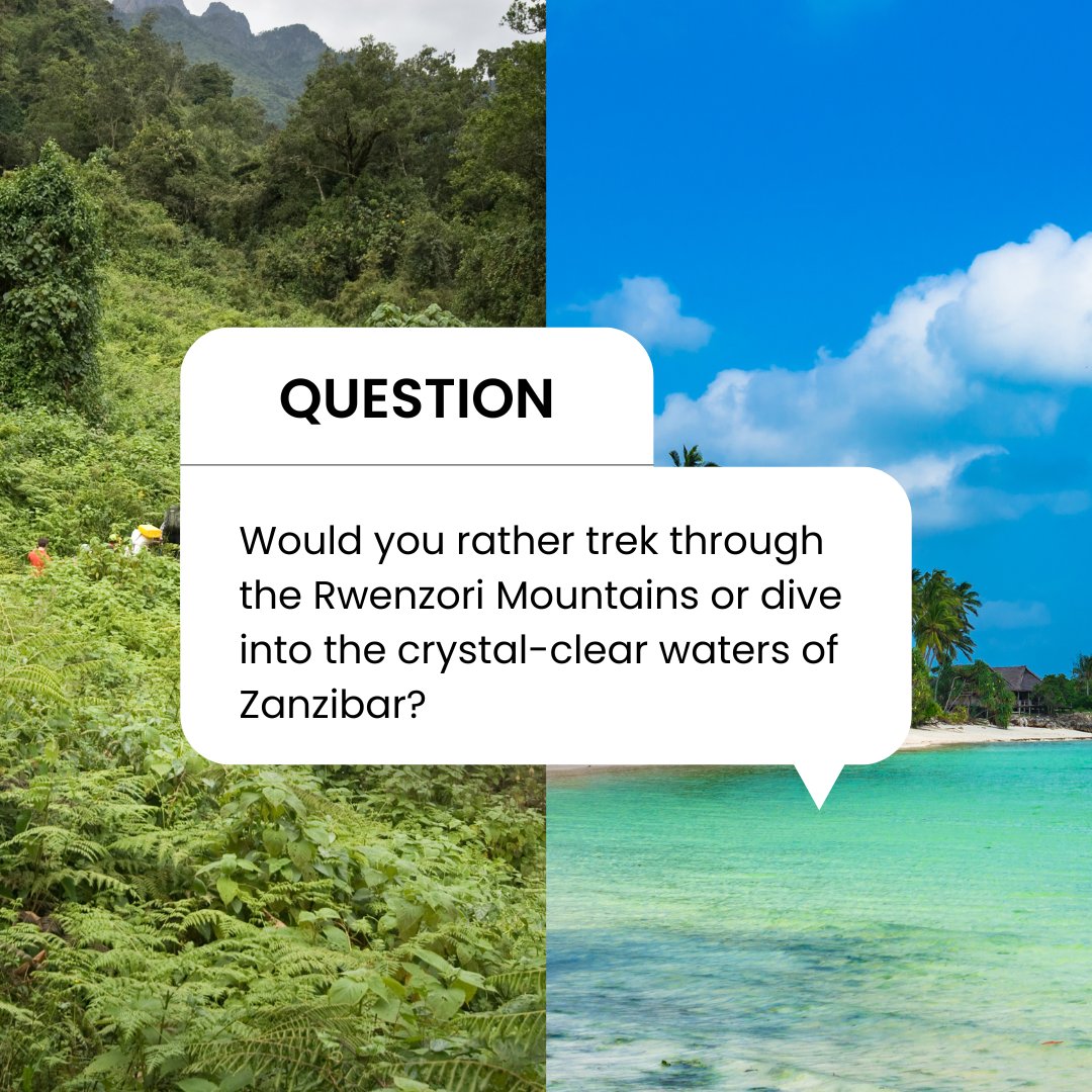 Decisions, decisions!

Trekking through the majestic Rwenzori Mountains or diving into the crystal-clear waters of Zanzibar? Which adventure calls to your soul?

#RoveSA #Zanzibar #RwenzoriMountains #AdventureAwaits #ExploreMore