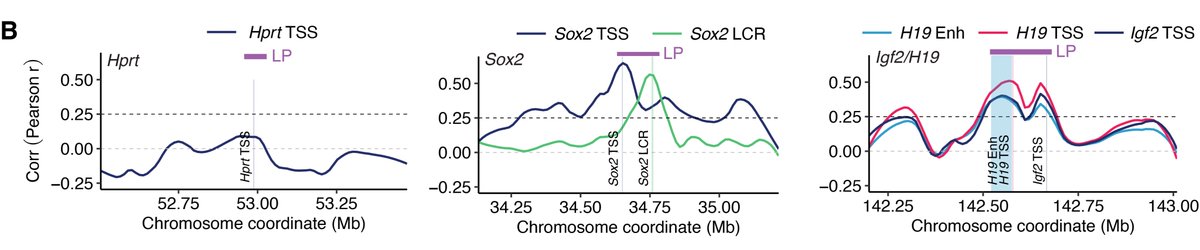 Raquel_OrCi's tweet photo. 4/ Our approach permits large-scale manipulation of complete loci to investigate the relationship between regulatory architecture and function🔬 Stay tuned for more insights! #SyntheticRegulatoryGenomics #SyntheticBiology #Enhancers #EnhancerRegulation https://t.co/B7Cops8rQY