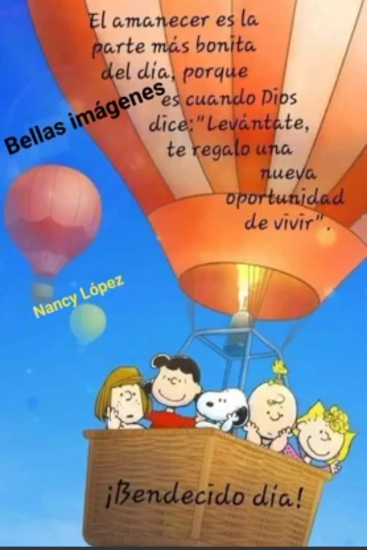 Pilar León (@pilarleon28) on Twitter photo 