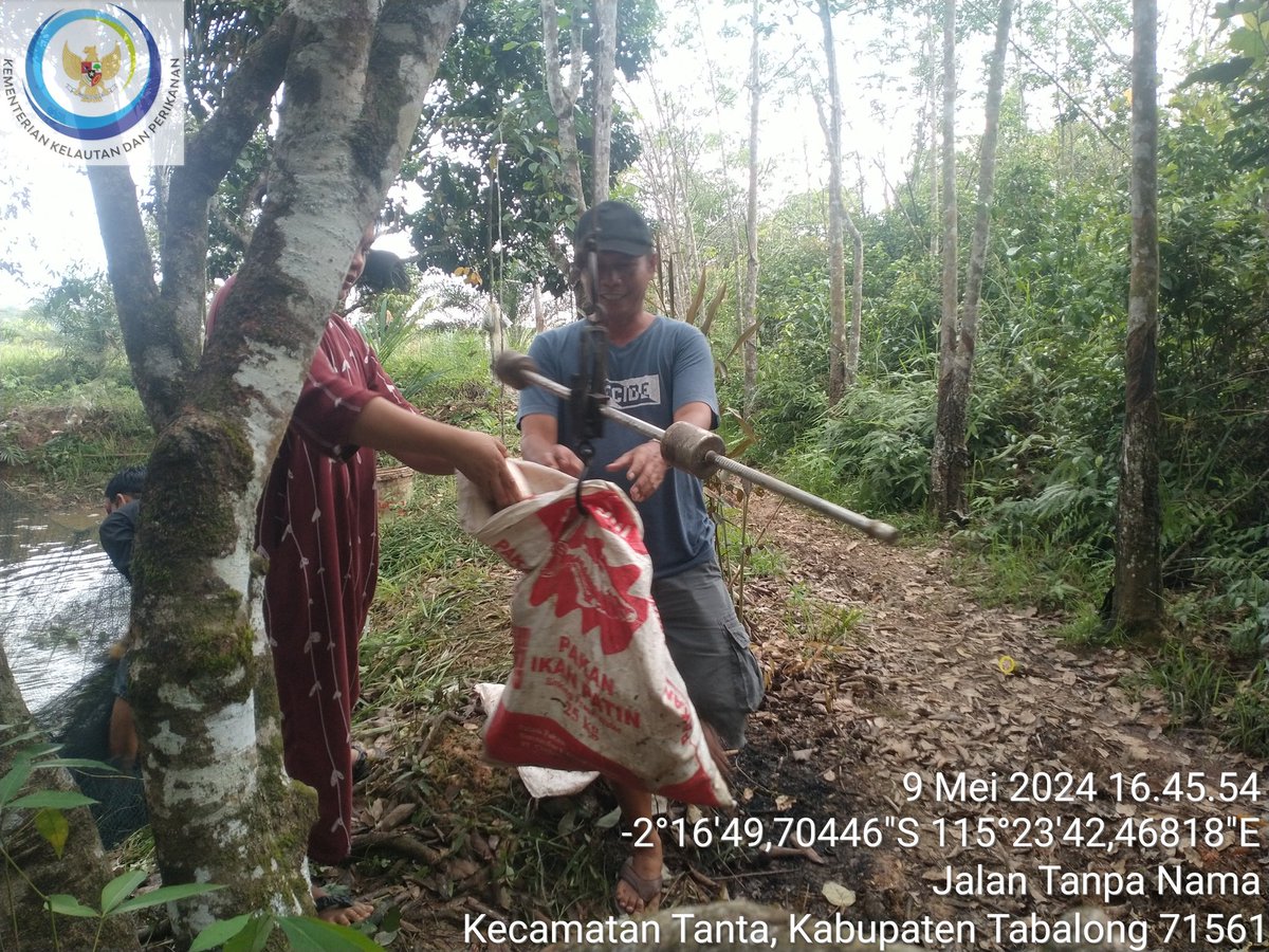 Ismail ogie tweet media