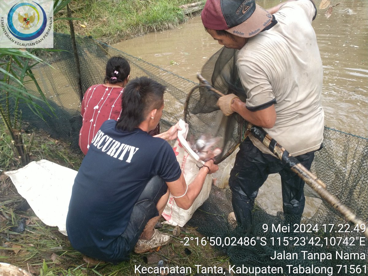 Ismail ogie tweet media