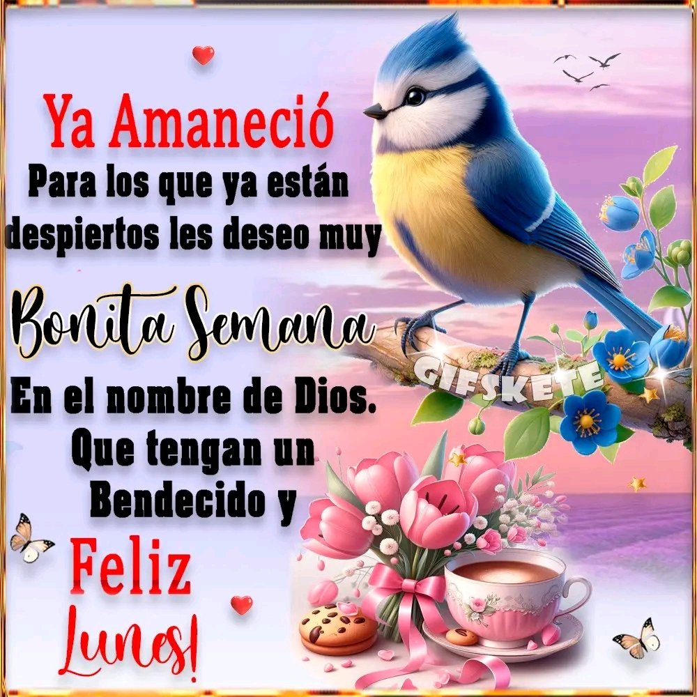 Buenos días gracias Diosito 🙏 🙌 💫por este increíble despertar, en ti confío siempre Lunes con toda la actitud 💖 💖nes #20may #ConcienciaPatriótica @AboDCausaJusta @CampeonCuba2 @freddyp44055243 @luibustilloso @MaryuriRG @PascualinoFull