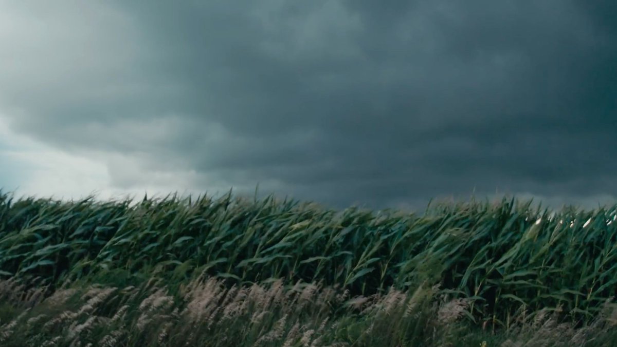 #DYK: Today, roughly one third of all CO2 emissions come from unnatural farming techniques.” 

- Carbon Underground

➡️ Watch To Which We Belong to learn more about solutions for climate change: buff.ly/3VYO6ri

#climatechange #carbonsequestration #carbonemissions