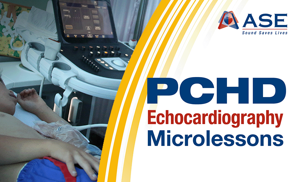 Our #PCHDMicrolessons is an online course on pediatric and congenital heart disease! The complete educational course will consist of a collection of Modules containing lectures, animated videos, questions and case discussions on 10 original PCHD topics. bit.ly/4a4GkD9