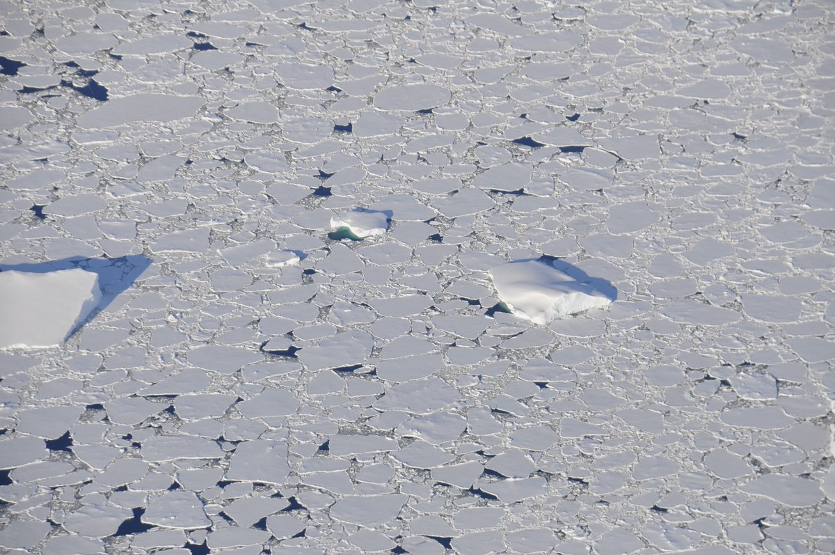 Remember the really low levels of #SeaIce in Antarctica last year? Records tumbling?

For the first time, now we know:
1) how rare this sea ice loss was
2) if climate change made it more likely

Spoiler: it was super rare; now it’s four times more likely.
Buckle up for a 🧵⬇️