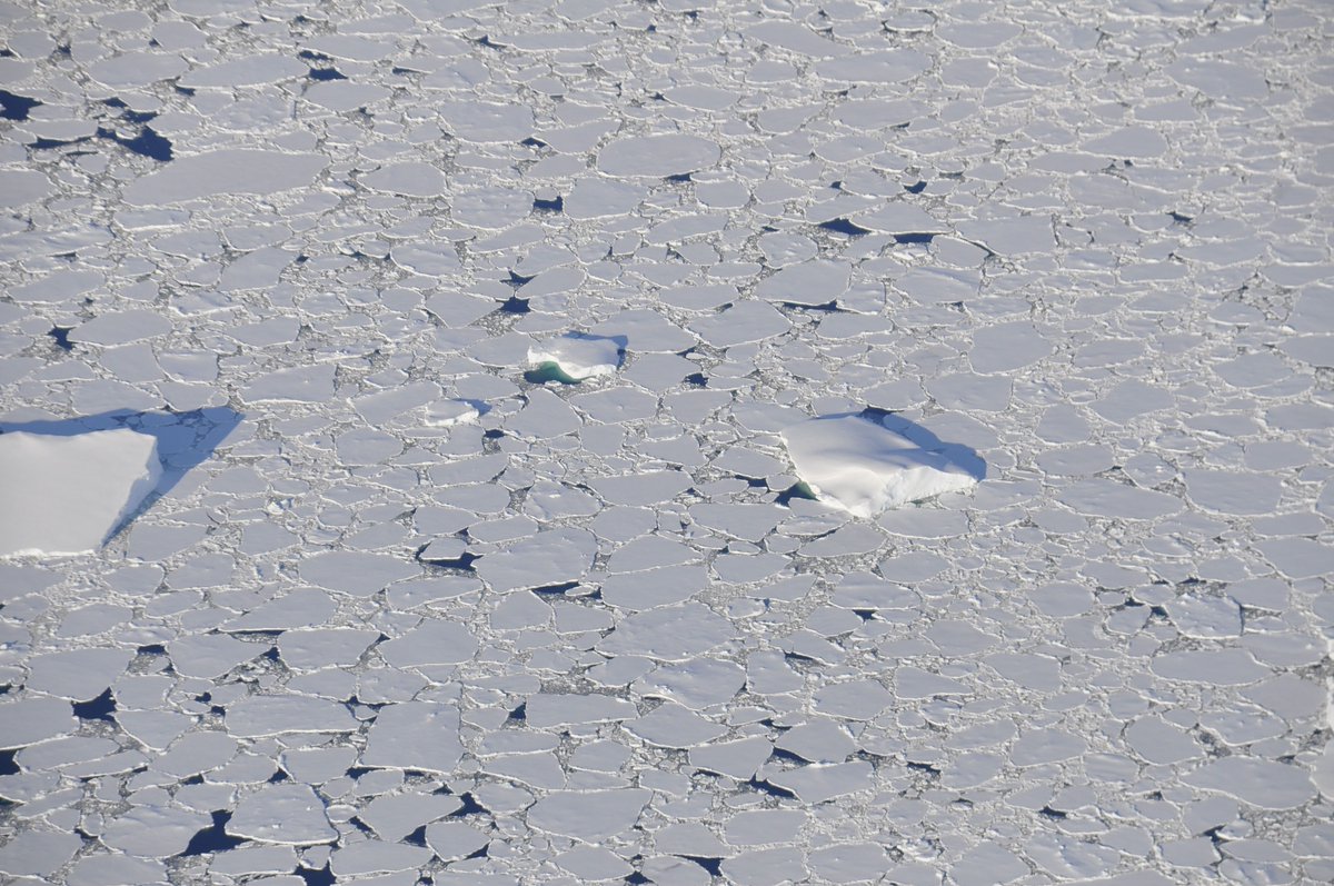 Remember the really low levels of #SeaIce in Antarctica last year? Records tumbling? For the first time, now we know: 1) how rare this sea ice loss was 2) if climate change made it more likely Spoiler: it was super rare; now it’s four times more likely. Buckle up for a 🧵⬇️