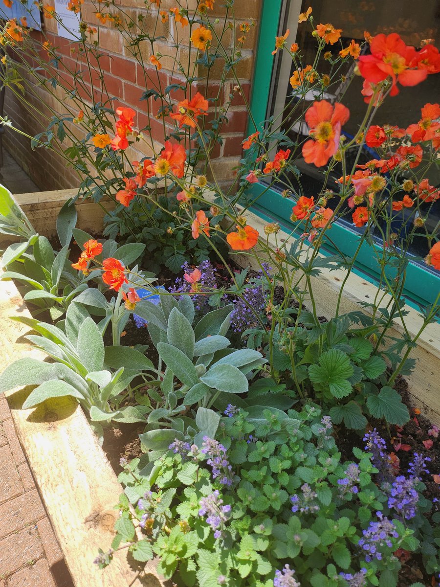 ruthmeowens's tweet photo. A pleasure to catch up with Sister Linda🌟 today regarding her work toward the #dementiahospitalcharter
The new accessible garden for patients and their carers looks beautiful in the sunshine 🌞 🪻🌷
The redecorated dinning room too! https://t.co/Om7H1EoPbY