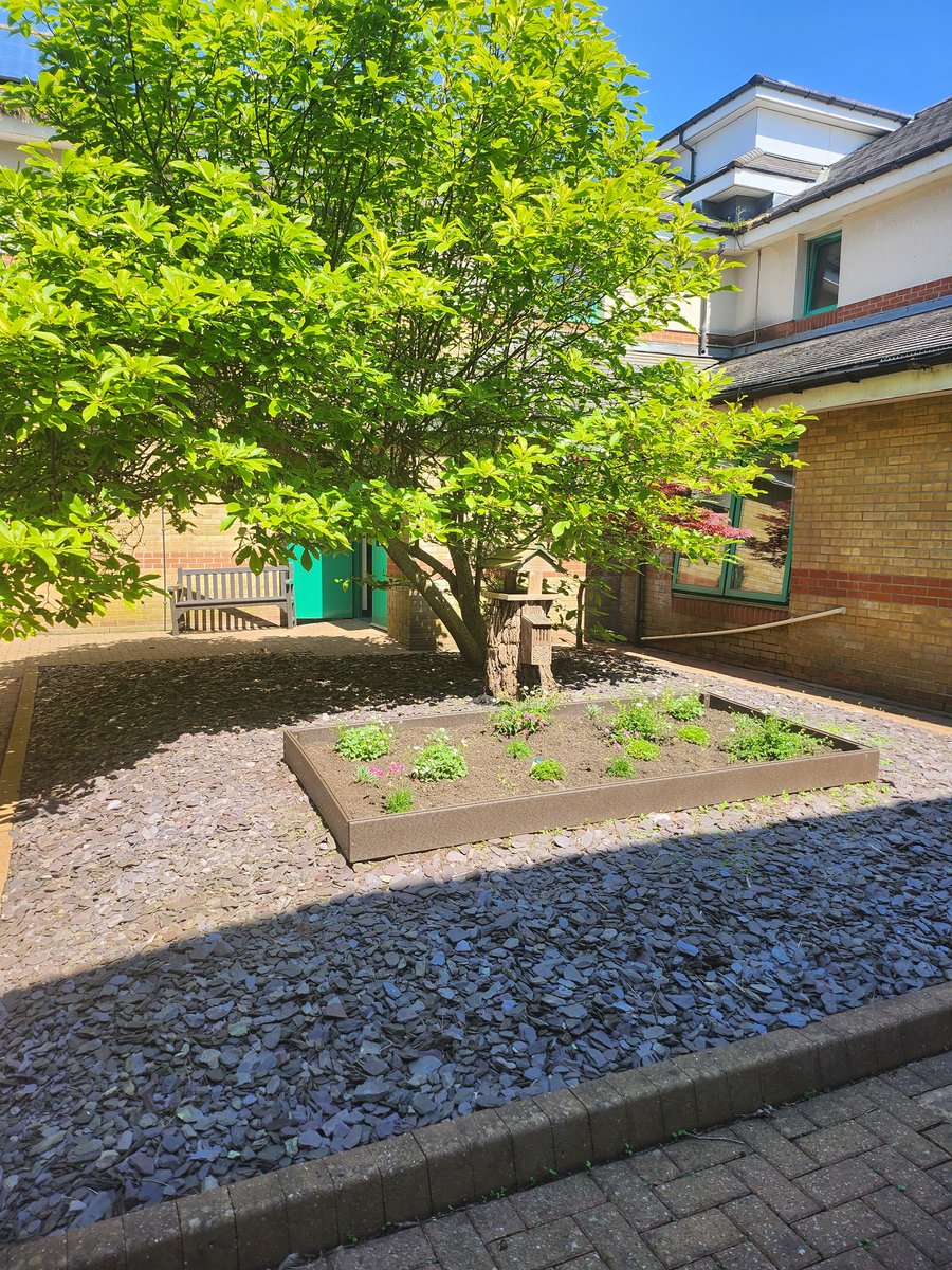 ruthmeowens's tweet photo. A pleasure to catch up with Sister Linda🌟 today regarding her work toward the #dementiahospitalcharter
The new accessible garden for patients and their carers looks beautiful in the sunshine 🌞 🪻🌷
The redecorated dinning room too! https://t.co/Om7H1EoPbY