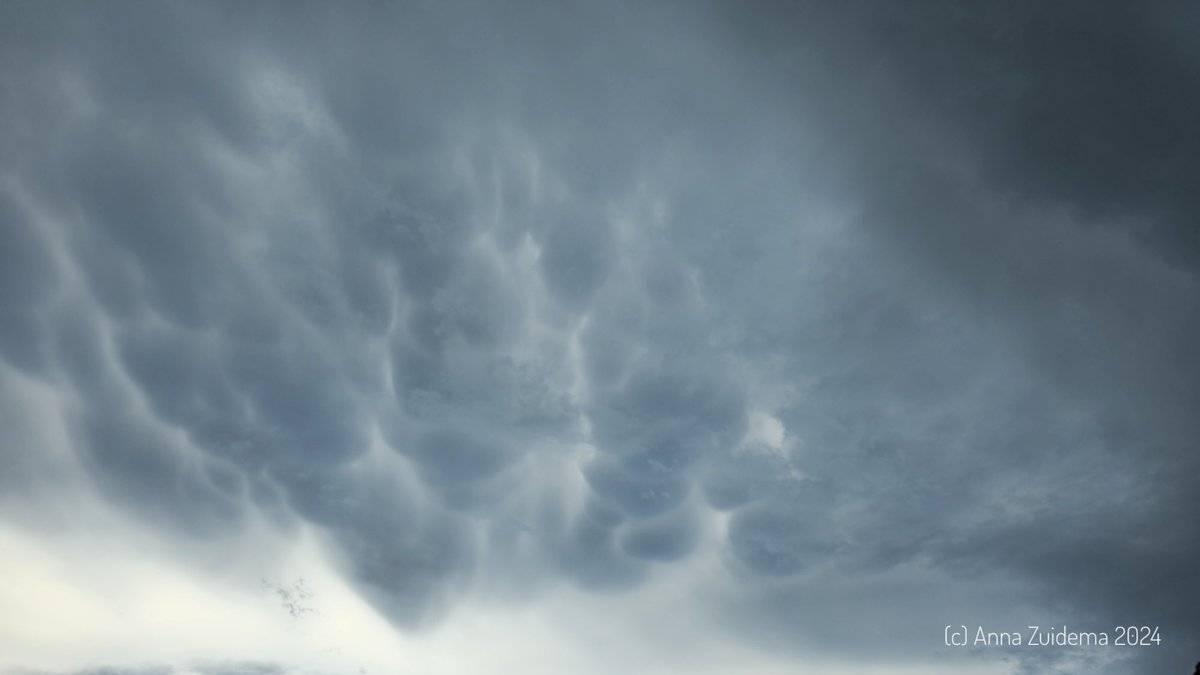 Schitterende onweerswolken boven Harlingen! 14.45 #onweer #thunder <a href="/BuienRadarNL/">Buienradar</a> <a href="/Weerplaza/">Weerplaza.nl</a> #wolken #clouds #mammatus <a href="/CloudAppSoc/">Cloud Appreciation Society</a> <a href="/NOS/">NOS</a> <a href="/OmropFryslan/">Omrop Fryslân</a> <a href="/lc_nl/">Leeuwarder Courant</a> #fryslân #friesland #schaapje #zeedijk