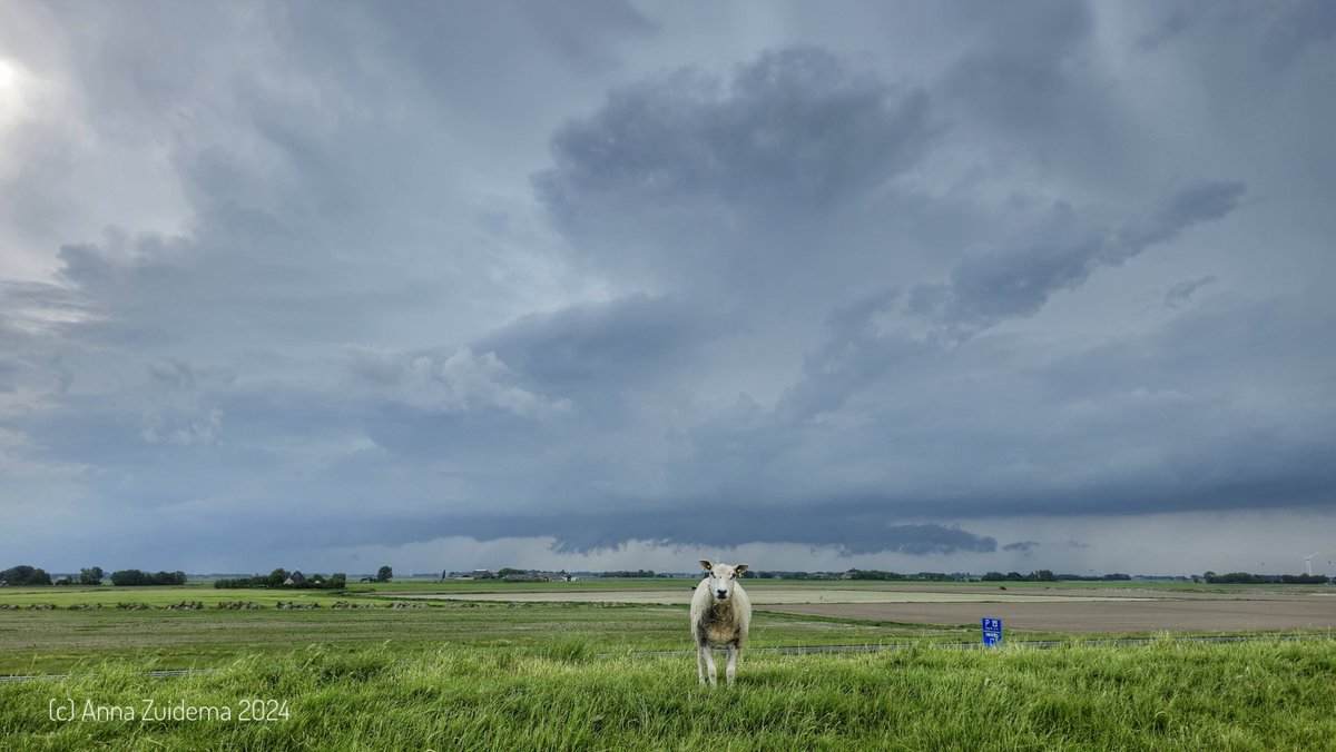 Anna Zuidema 🌤🌧☔🌪⛈❄ tweet media