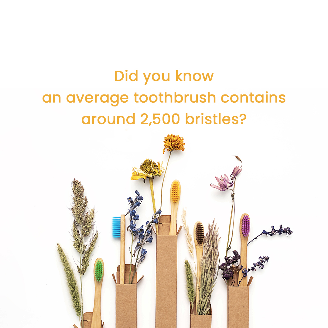 tweet_harman's tweet image. Let 2500 bristles pamper your pearly whites for refreshing breath &amp;amp; sparkling smile! 🦷 #Toothbrush #ToothbrushFacts #Brushing #StrongTeeth