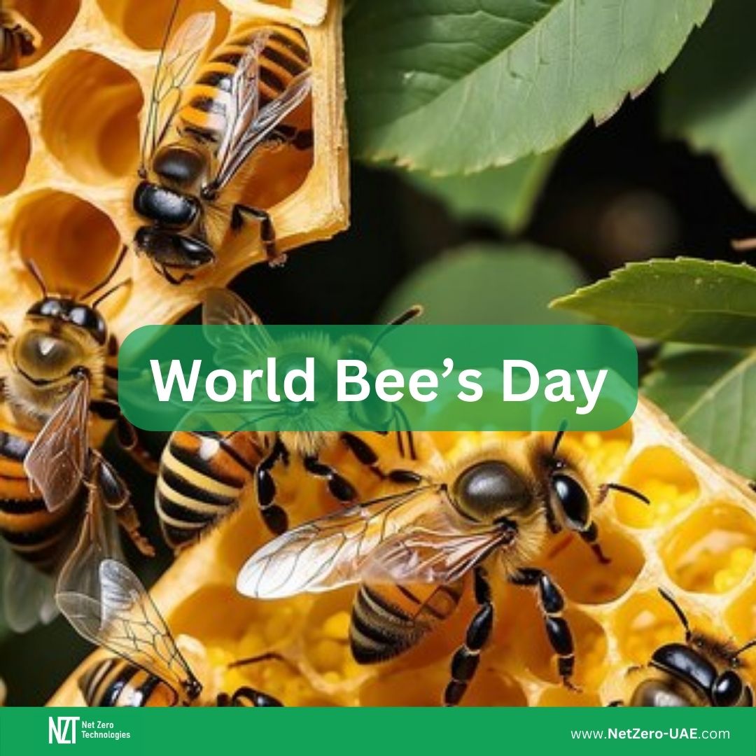 Let’s protect these hardworking creatures that fly up to 90,000 miles to produce just one pound of honey
Together, we can ensure a thriving ecosystem for bees and a sustainable future for all. 🐝🌎💚
#WorldBeesDay #EveryGreenActionCounts #BeeGreen #LinkToAct #SaveTheBees