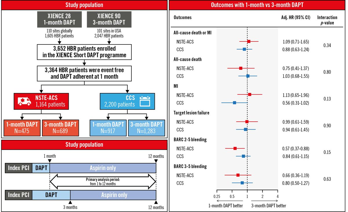Evidence for short DAPT after an ACS in high bleeding risk patients undergoing PCI is limited. In this study, high bleeding risk patients undergoing non-complex PCI for either NSTE-ACS or chronic coronary syndrome experienced similar ischemic risk and reduced bleeding with