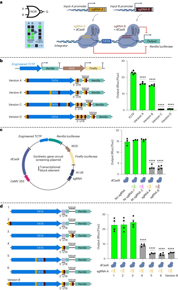 CRISPRi-based circuits to control gene expression in plants go.nature.com/4bpCNQa