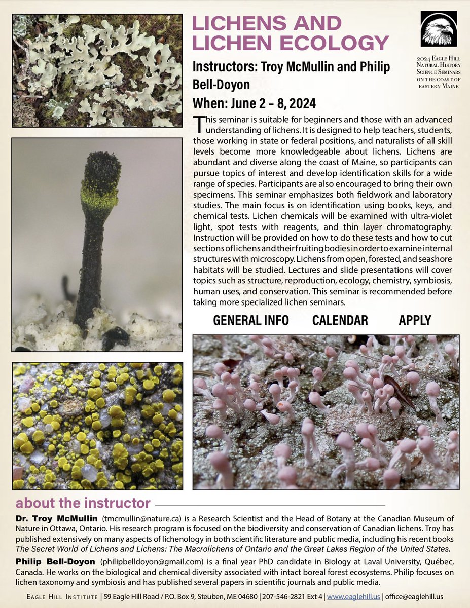 The Eagle Hill Institute have a fantastic selection of lichen courses on offer. For more information on the Lichens & Lichen Ecology course - see poster below!