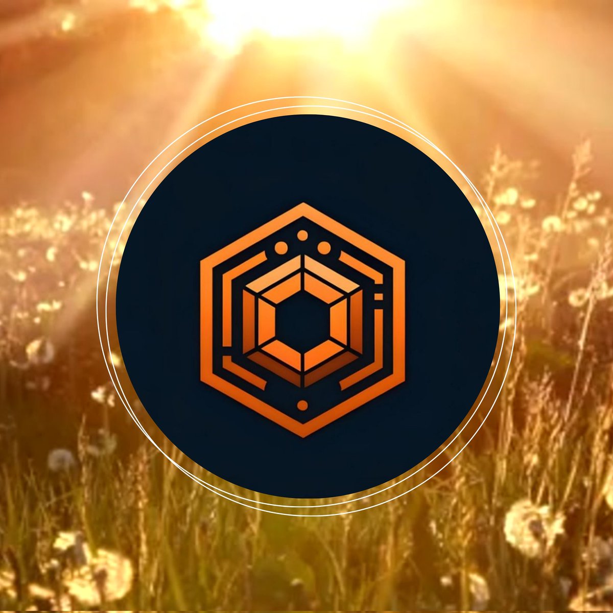 CoreKeeper_org's tweet photo. Don't miss out on $COKE tokens if you regret missing the early days of Trust Wallet Token - nature is offering you another chance! Skeptics and sellers will be left crying, but we're here to stay; we're just beginning our journey. 

Remember, we have a solid brand foundation: a revolutionary, decentralized cryptocurrency wallet built for unmatched speed and security for all traders. Our priority is to further enhance the app until it becomes the talk of the town.