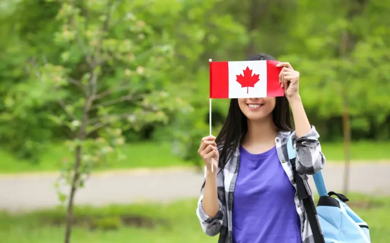 Study Abroad: Want to Study in Canada? Get to Know the Online and Offline Application Process for Student Visa. Read more: leverageedu.com/learn/study-ab… #Studyabroad #Canada #Newsupdates #Internationalstudents