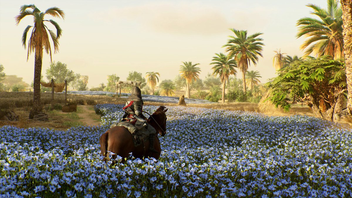 Assassin's Creed Mirage 

#ACPhotoMode #ACFinest