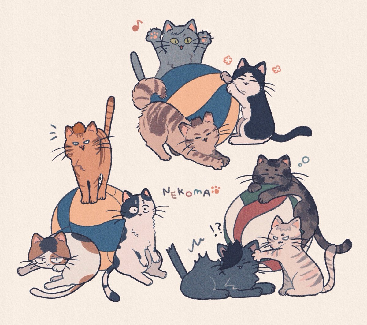rii_A_'s tweet photo. 🏐🐈 https://t.co/ySv6rvFrHs