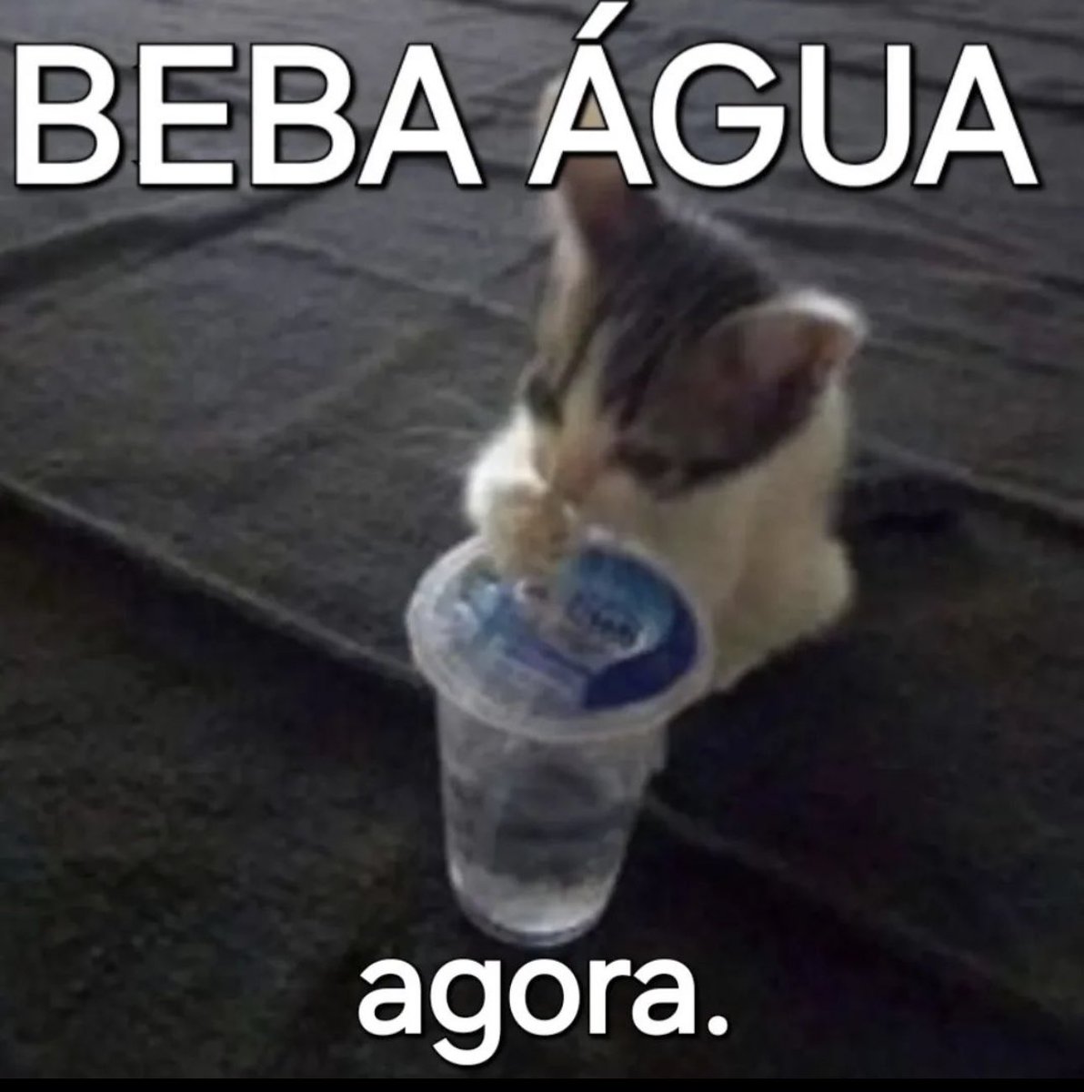 Shitpost só que de verdade (@shitpostverdade) on Twitter photo 