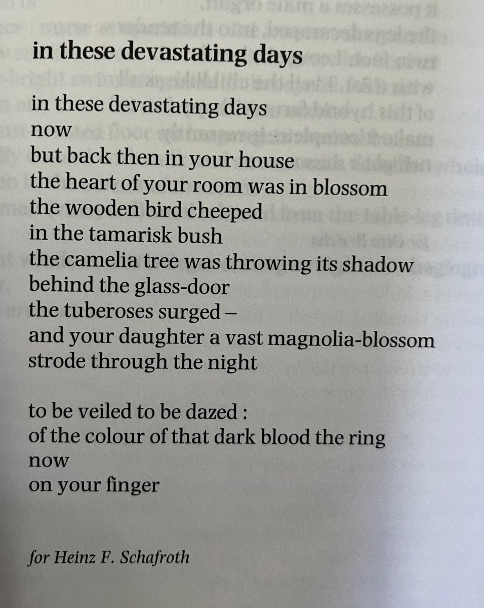 Love me some Mayröcker: ”And your daughter a vast magnolia-blossom/strode through the night//to be veiled to be dazed”