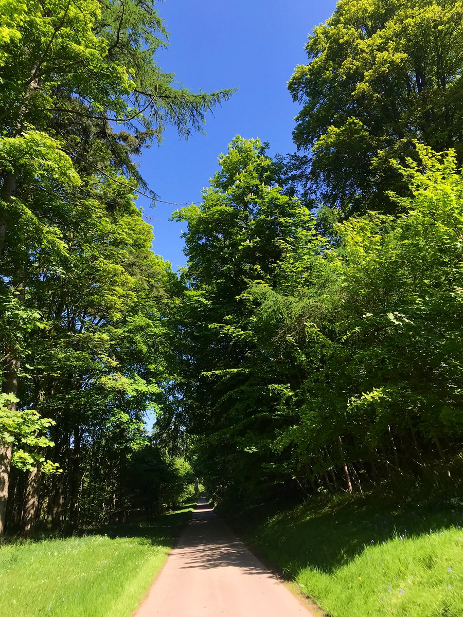 Oooh what a glorious Monday! Dog walked 🐾 👣 in the shade… and the country roads took us home 🎶 Inverness #LoveUkWeather #ThePhotoHour #Scotland