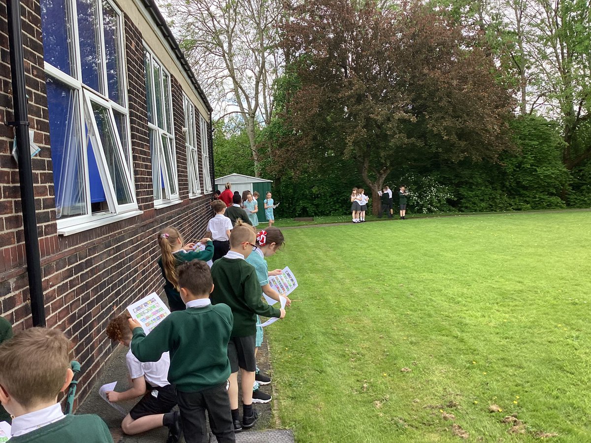 StMM_2021's tweet photo. Year 3/4 used plant identification keys to identify different plants around our school #classification #greenfingers #lookingclosely https://t.co/Yj69q37XoU